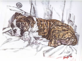 Puppy acrylic on canvas
