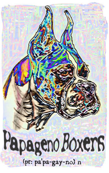 Papageno Boxers enter